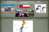 Pueblos Originarios de Chile.ppt