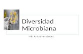 Diversidad Microbiana