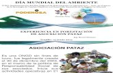 Forum Asociacion Pataz.pdf