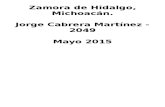 Zamora de Hidalgo - Estructura Sociopolítica Económica