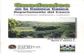 Guaduales en La Cuenca Cauca Departamento Del Cauca