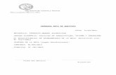 Informe Prorroga Beca-kulekdjian