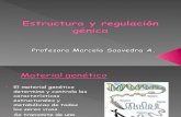 Estructura Regulacion Genica IV Medios Celula Genoma Organismo