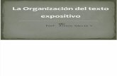 Organizacion Del Texto Expositivo