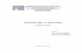 EJERCICIOS DE TAMAÑO DE LA MUESTRA 18838853.pdf