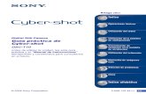 Manual de La Camara Fotografica Sony DSC-T10