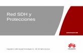 2. Redes y Protecciones SDH