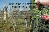 Manejo de Cultivo Poda, Nutricion y Riego Danny.....