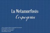 Las Metamorfosis- Cosmogonía