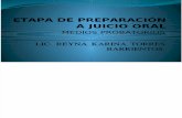 Lic. Reyna Torres - Etapa de Preparación a Juicio Oral2
