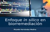 Enfoque in silico en biorremediación