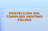 Cementos y Protectores Dentino Pulpares