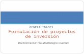Formalizacion de Proyectos de Inversión.