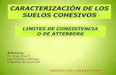 01.06 Límites de Consistencia Atteberg.pdf