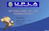 XENOBIOTICOS Diapositivas Lina