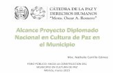 Alcance Diplomado Cultura de Paz en Los Municipios Libertador y Snatos Marquina