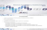 Presentacion Resultados Principales DIEE-2013