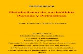 Metabolismo de Purinas y Pirimidinas