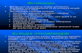Istoric Microbiologie