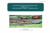 ANEXO B - Conceptos basicos Gestion de R..pdf
