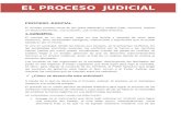 proceso judicial