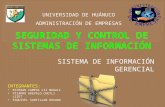 SEGURIDAD Y CONTROL DE SISTEMAS DE INFORMACION.pptx