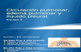 Circulación Pulmonar, Edema Pulmonar y Líquido Pleural