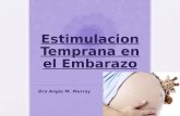 Estimulacion Temprana del Embarazo.pptx