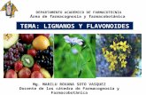Clase de Lignanos y Flavonoides 2012 Impresion