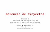 S03 - Gestion de Integracion Del Proyecto