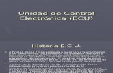 Unidad de Control Electronica (Ecu)