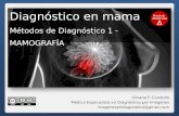 Mamografía y Screening de Cáncer de Mama