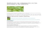 Definición de Adaptación en Los Animales y Las Plantas