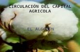 CIRCULACIÓN DEL CAPITAL AGRICOLA