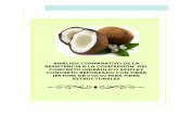 proyecto estopa de coco