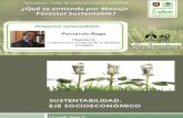Análisis Económico en el Manejo Forestal Sustentable - Fernando Raga - CORMA
