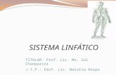 5-Sistema Linfatico 2015