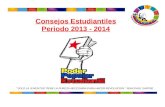 Consejos Estudiantiles 2013 - 2014