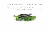 Álbum de Flora y Fauna Chilena