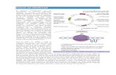 Historia Del CRISPR - CAS9 - Sta Cruz Biotechnology