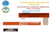 Exposicion de Patologia Grupo2