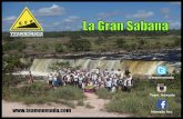 Tour Gran Sabana 2015