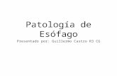 Patología Benigna del Esófago