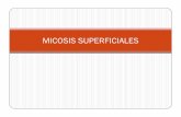 Micosis superficiales.pdf