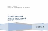 Monografia - Propiedad Intelectual