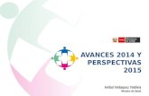 Avances 2014 y Perspectivas 2015 Salud Peru