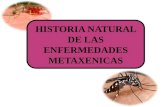 Historia Natural de La Malaria, Dengue