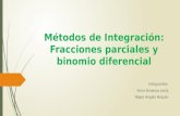 Métodos de Integración Matematica II
