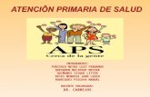 Atencion Primaria de Salud-2012