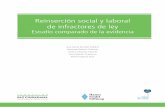 Estudio Comparado de La Evidencia en Reinsercion Social y Laboral
